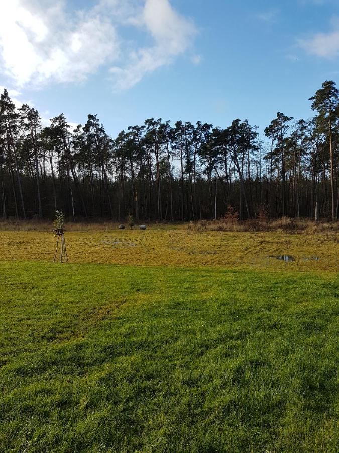 Sonnenstrahl Im Kuestenwald Gelbensande Экстерьер фото